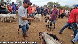 FEIRA DE DOMINGO NA VILA JERIMUM T.N-PE 12/01/2025 REGIÃO NORDESTE DO BRASIL @Lugaresqueeuando