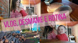 Vlog/Desmame e Rotina na Roça/tentei até com limão/fiz pão e mostrei nosso pátio/Cris Rotina na Roça