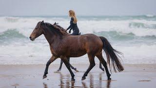 Rainy Day Horse Play in New Zealand