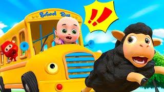 Wheels On The Bus Go To Town | Nursery Rhymes & Kids Songs | Jungu kids Songs