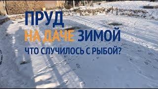 Пруд на даче зимой  Что с рыбой и где раки зимуют?