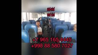 Avtobus Moskva-Tashkent Tashkent-Moskva +79651614445 #musofir #musofirlar #musofirtv #tashkent