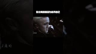 1076600329“多少离别是因为身不由己，期间的痛苦只有经历才懂得” #哈利波特  #歌曲药引