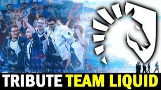TEAM LIQUID Tribute - Best Plays DOTA 2