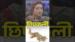 छिपकली देखना शुभ है कि अशुभ |Ft. Dr.Y Rakhi #podcast #astrology #astrologytips #remedy