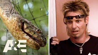 Bit By SNAKES - Top 3 Moments | Billy the Exterminator | A&E