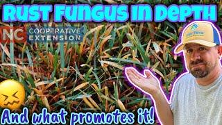 Is Rust Fungus Harmless?? // Why & How To Use Natural Adjuvant