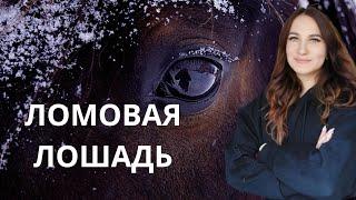 Женщина ломовая лошадь.