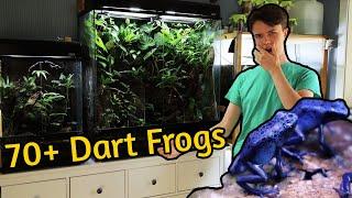 Complete Frog Room Tour - 2023 Edition