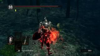 Dark Souls: Prepare to Die Edition - PvP - Darkroot Garden - Darkwraith Covenant