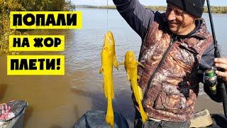 РЫБАЛКА НА АМУРЕ. ЖОР ПЛЕТЕЙ!