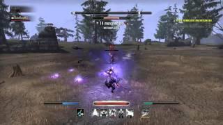The Elder Scrolls Online PvP Sorcerer Vs Dragonknight vr14