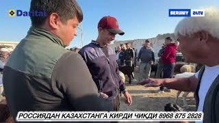 БЕРУНИЙ КУЙ КУЧКОР БОЗОРИ 22.09.2024