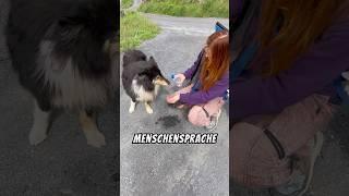 I talk to animals. #animals #birds #language #communication #people