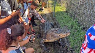 A Unique, Hands-on Educational Experience at Kowiachobee Animal Preserve in Naples, FL