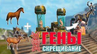 КРАФТИМ ДОНАТНЫХ ПИТОМЦЕВ. СКРЕЩИВАНИЕ И ГЕНЫ  Last Island of Survival #LIOS #rustmobile