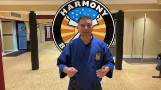 "Create Your Reality" Sensei John P Mirrione