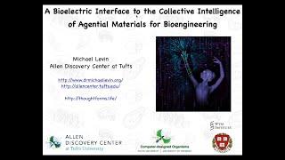 A Bioelectric Interface to the Collective Intelligence of Agential Materials for Bioengineering