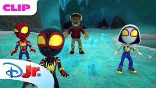Antarctic Explorers ️ | Spidey and His Amazing Friends ️ | Disney Jr. MENA