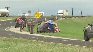 Clyde man killed during 18-wheeler rollover wreck in Nolan County