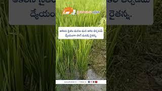 JHK Farmer Quote | Motivational quotes Telugu II Inspirational Quotes II Telugu Quotes@JaiHoKisan
