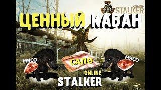 Сталкер онлайн ( STALKER online ) - Заработок / Кабаны / Сало