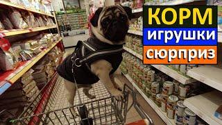 ХОРОШИЙ КОРМ для собак!!! ИГРУШКИ для собак!!! Мопс собака. ОБЗОР.