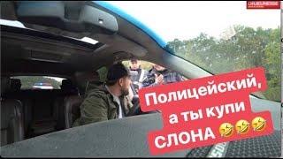 Полицейский а ты купи слона