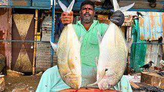 KASIMEDU  MINNAL RAJA | WHITE TREVALLY FISH CUTTING VIDEO | IN KASIMEDU | FF CUTTING 