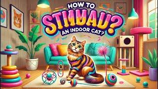 How To Stimulate An Indoor Cat