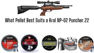 What Pellet best Suits A Kral NP 02 Puncher  22