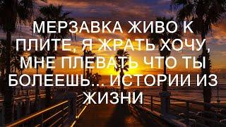 Мерзавка, живо к плите! Я жрать хочу, и мне плевать, что ты болеешь... Истории из жизни.  || Необы