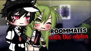 Roommates with the alpha || Gacha Life Mini Movie|| |GLMM| PART 1