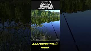 #shorts  #долгожданный линь# Russian Fishing 4#