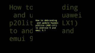 How DEBRANDING AND UPDATE HUAWEI P20LITE without root and bootloader to android 9 pie and emui 9.1