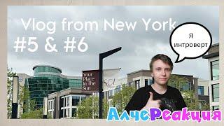 АлчеРЕАКЦИЯ Illia - Два в одном. VLOG FROM NEW YORK | Vlog 5 & 6