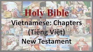 AudioBible：Vietnamese：40001 The Matthew 001