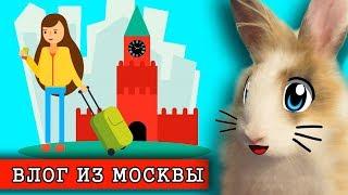 КОТ и КРОЛИК БАФФИ смотрят ПРИКЛЮЧЕНИЯ В МОСКВЕ! Мой ДЕНЬ на КАНИКУЛАХ или MY Holiday routine