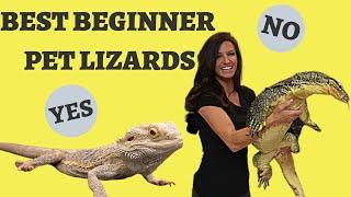 WHAT IS THE BEST BEGINNER PET LIZARD?  Best Beginner Reptile: Best Pet Lizard Edition