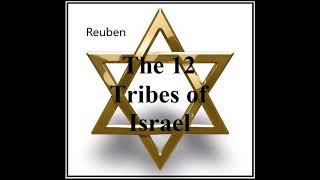 The Tribe of Reuben