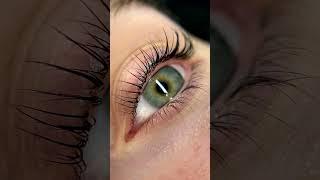 #сыктывкар #lashes #эжва #lashextensions #ламинированиересниц #ресницы #lash #beauty #лами