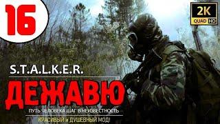 S.T.A.L.K.E.R. ДЕЖАВЮ  #16 КОГОТНИК ЧЁРНЫЙ, ТАЙНИКИ КЕГЛИ и АЛЕНЬКИЙ ЦВЕТОЧЕК!