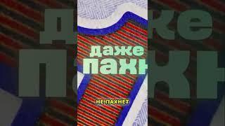 Как Заработать в Интернете БЕЗ ВЛОЖЕНИЙ? Реальные Деньги БЕЗ ТЕМОК - Заработок в Интернете Телеграм