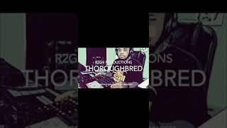 MPC One Beats: Thoroughbred