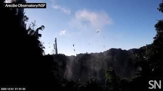 Watch the Arecibo telescope collapse | Science News