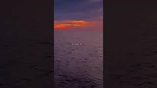 Ylliii️               #ylllimani #albania #song #viralvideo #new #lyrics #music #shorts