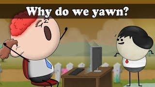 Why do we yawn? | #aumsum #kids #science #education #children