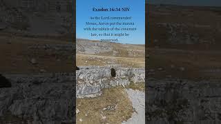 Biblescape ( Exodus 16 : 34 NIV)
