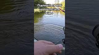 ТОПОВА КОЛИВАЛКА З ALIEXPRESS!!! ALLBLUE!!! #fishing