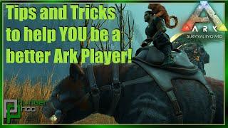 TIPS EVERY ARK PLAYER SHOULD KNOW